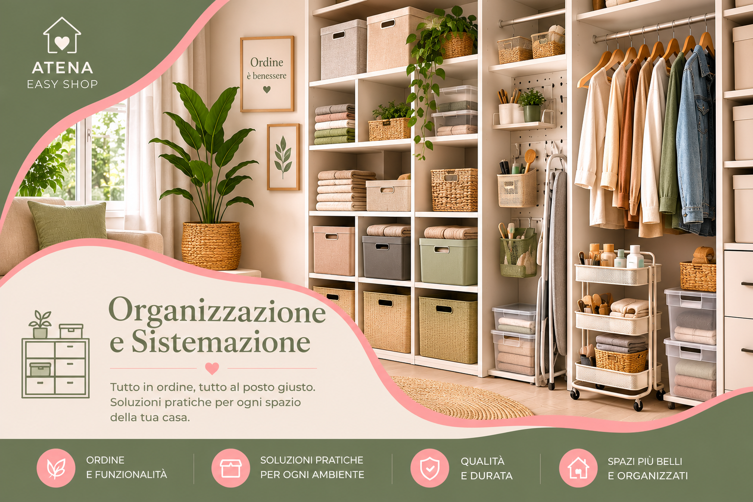 Organizzazione e Sistemazione