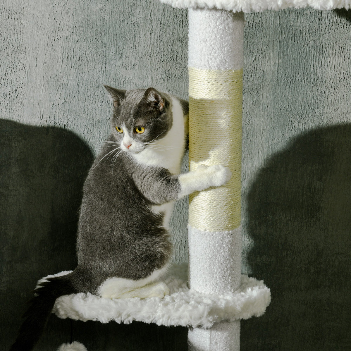 Albero per Gatti a Soffitto Regolabile con Tiragraffi