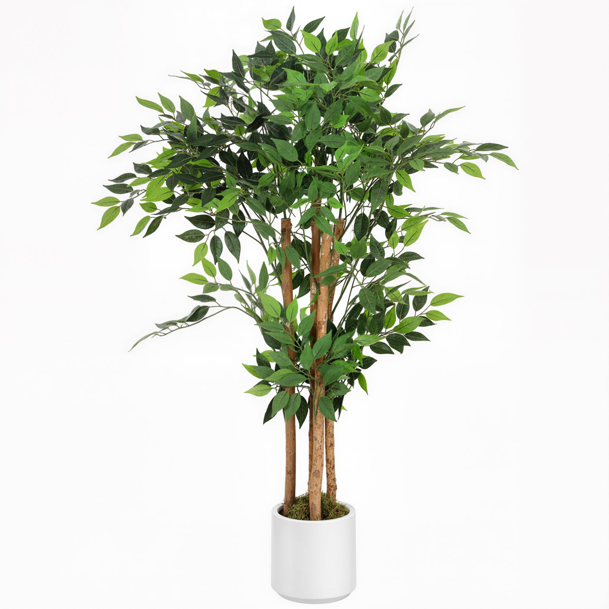Pianta Artificiale di Baniano 120 cm con Vaso Decorativo