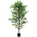 Pianta Artificiale di Ficus da 180 cm