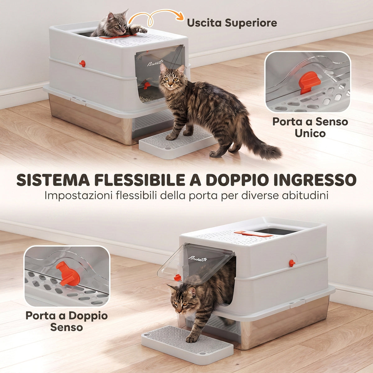 Lettiera Gatti XXL in Acciaio Inox Chiusa Antiodore
