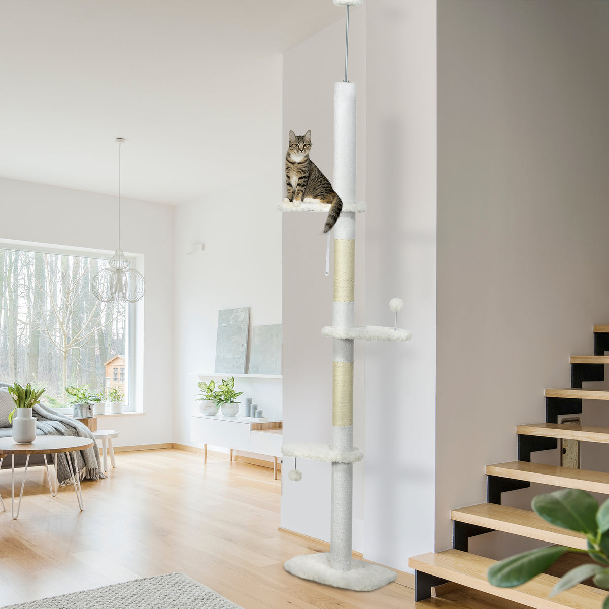 Albero per Gatti a Soffitto Regolabile con Tiragraffi