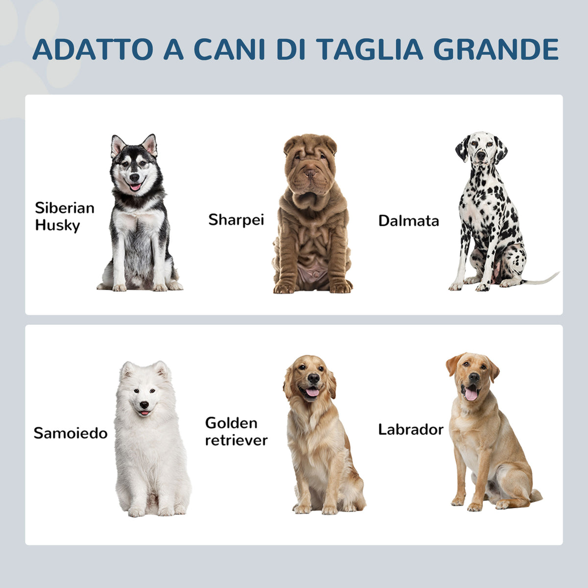 Ciotole Rialzate per Cani con Cassetto