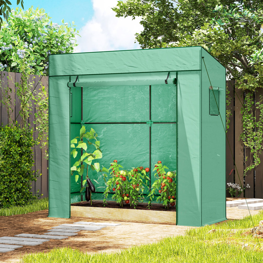 Serra da Giardino Murale 196x77x197 cm con 2 Finestre