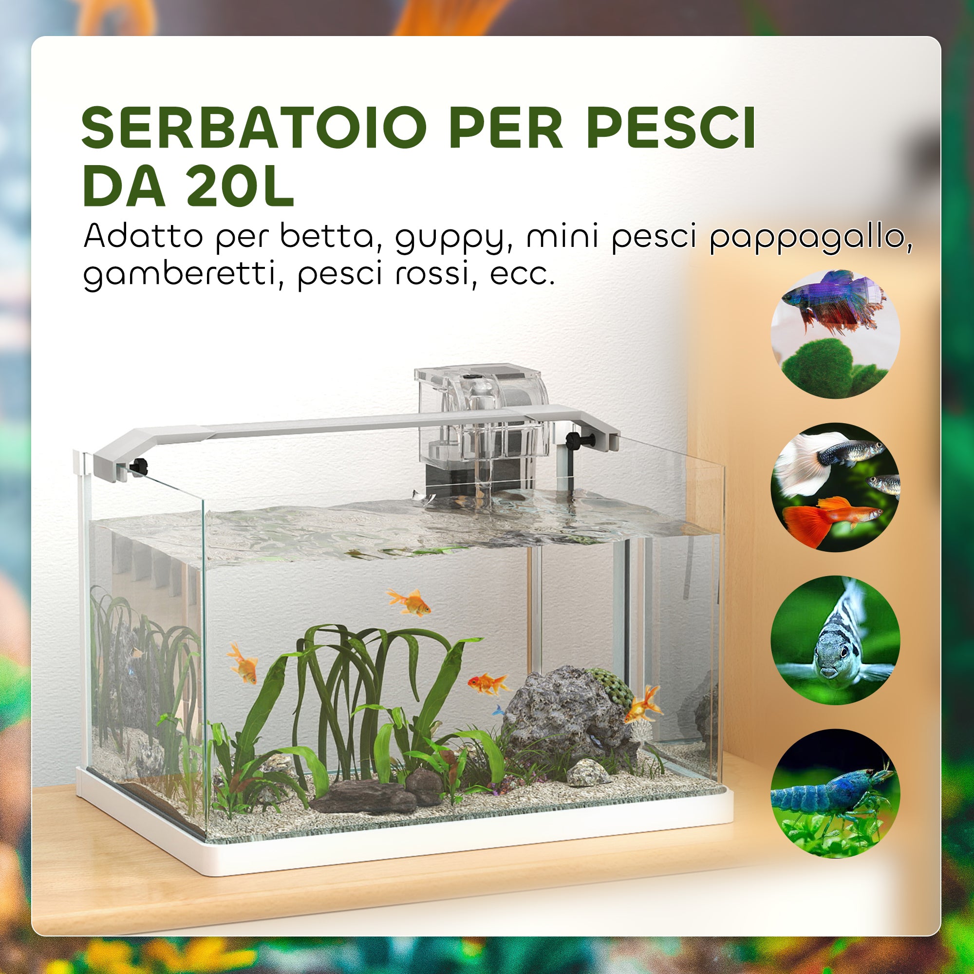 Acquario in Vetro 20L con Luce LED, Filtro e Pompa dell'Acqua Bianco