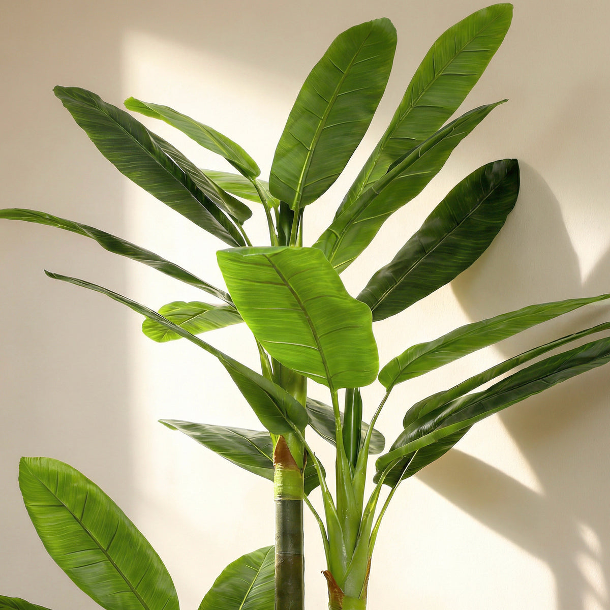 Albero di Banano Artificiale da 180 cm con 18 Foglie