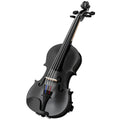 Violino 4/4 in Legno di Abete e Acero con Custodia e Accessori Nero