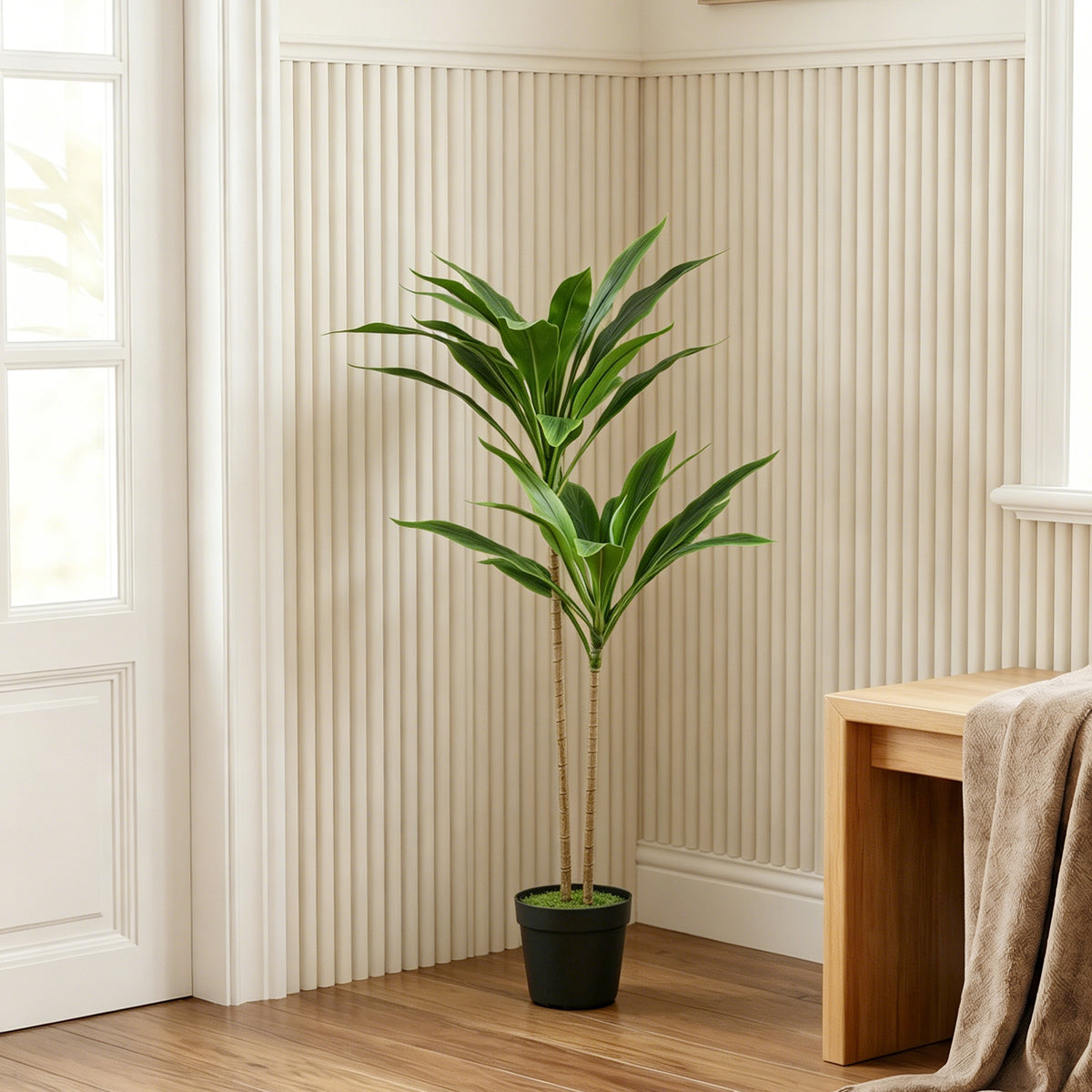 Pianta Artificiale Cordilinea