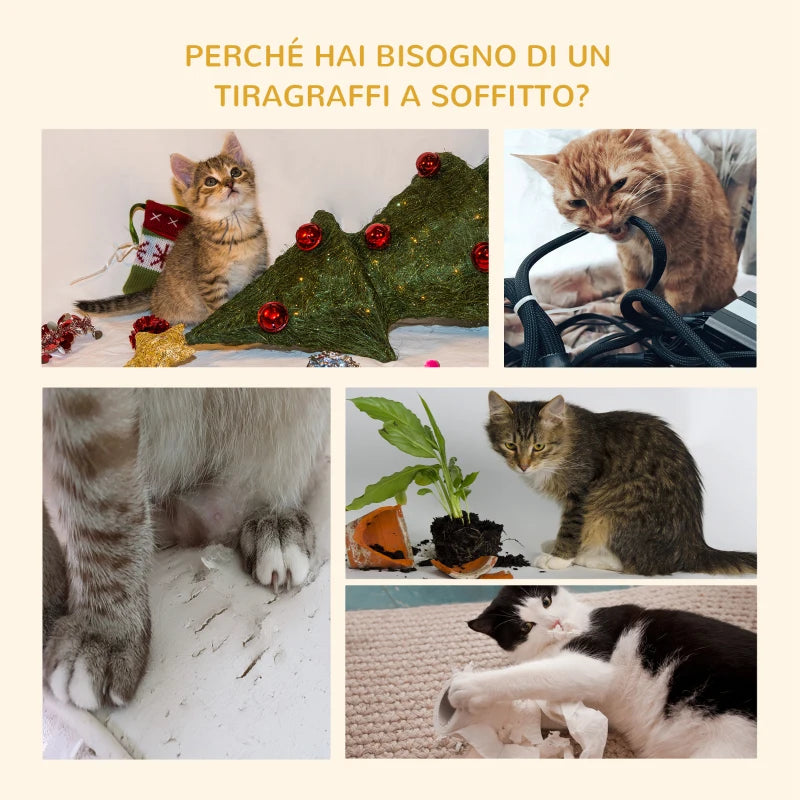 Albero Tiragraffi per Gatti a 4 Livelli con Altezza Regolabile