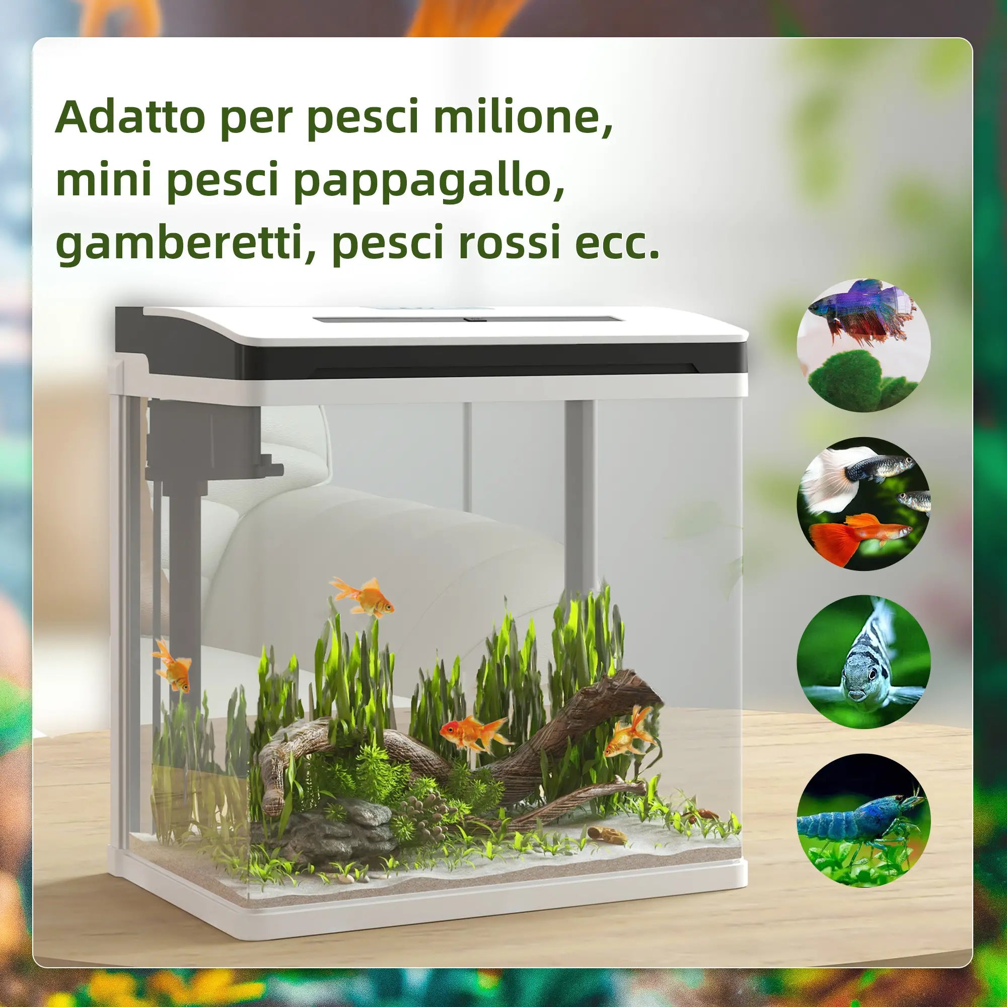 Acquario 13L con Illuminazione LED, Fori di Ventilazione in Vetro HD e ABS
