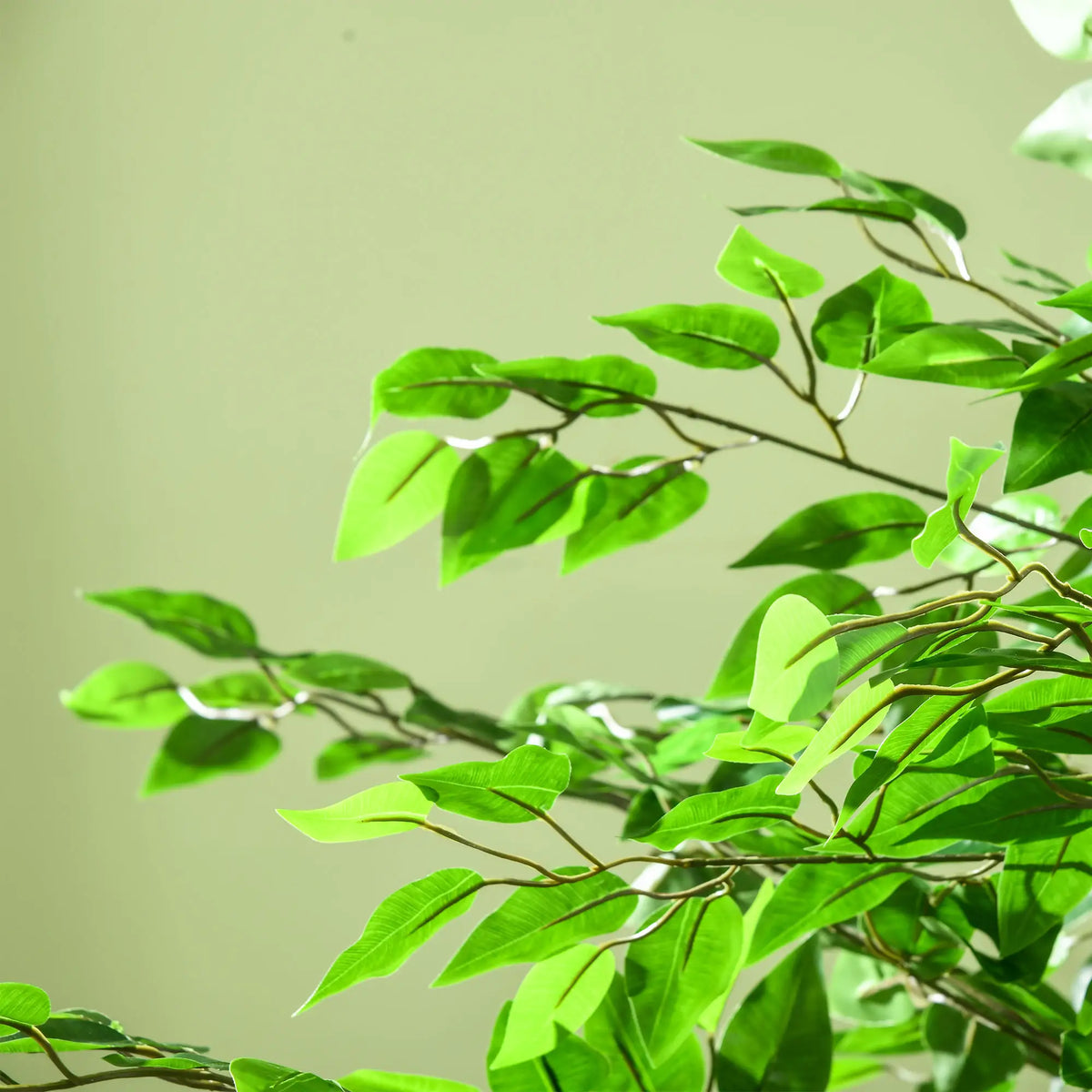 Pianta Artificiale di Ficus da 180 cm