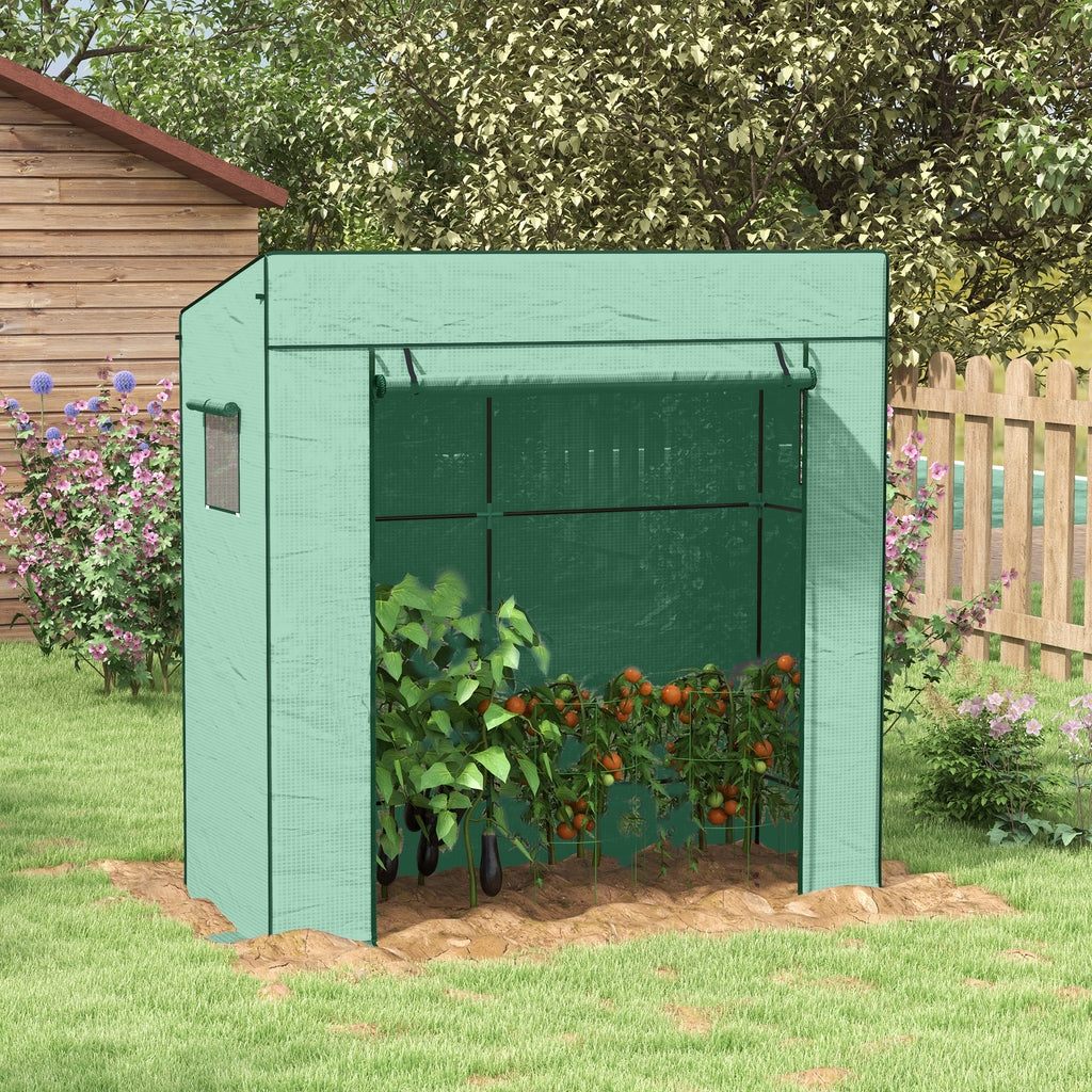 Serra da Giardino Murale 196x77x197 cm con 2 Finestre