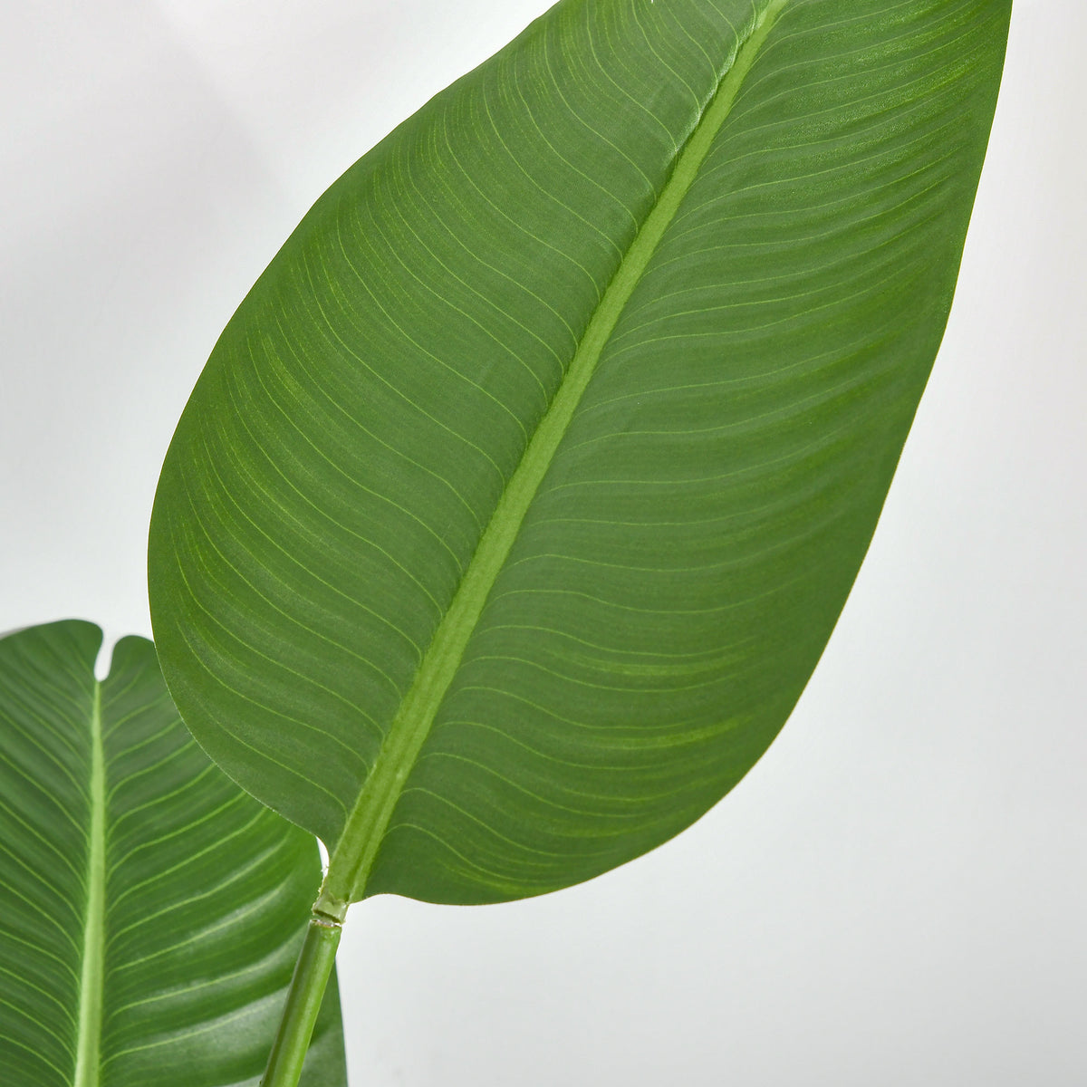 Pianta Artificiale Banano da 160 cm con Vaso