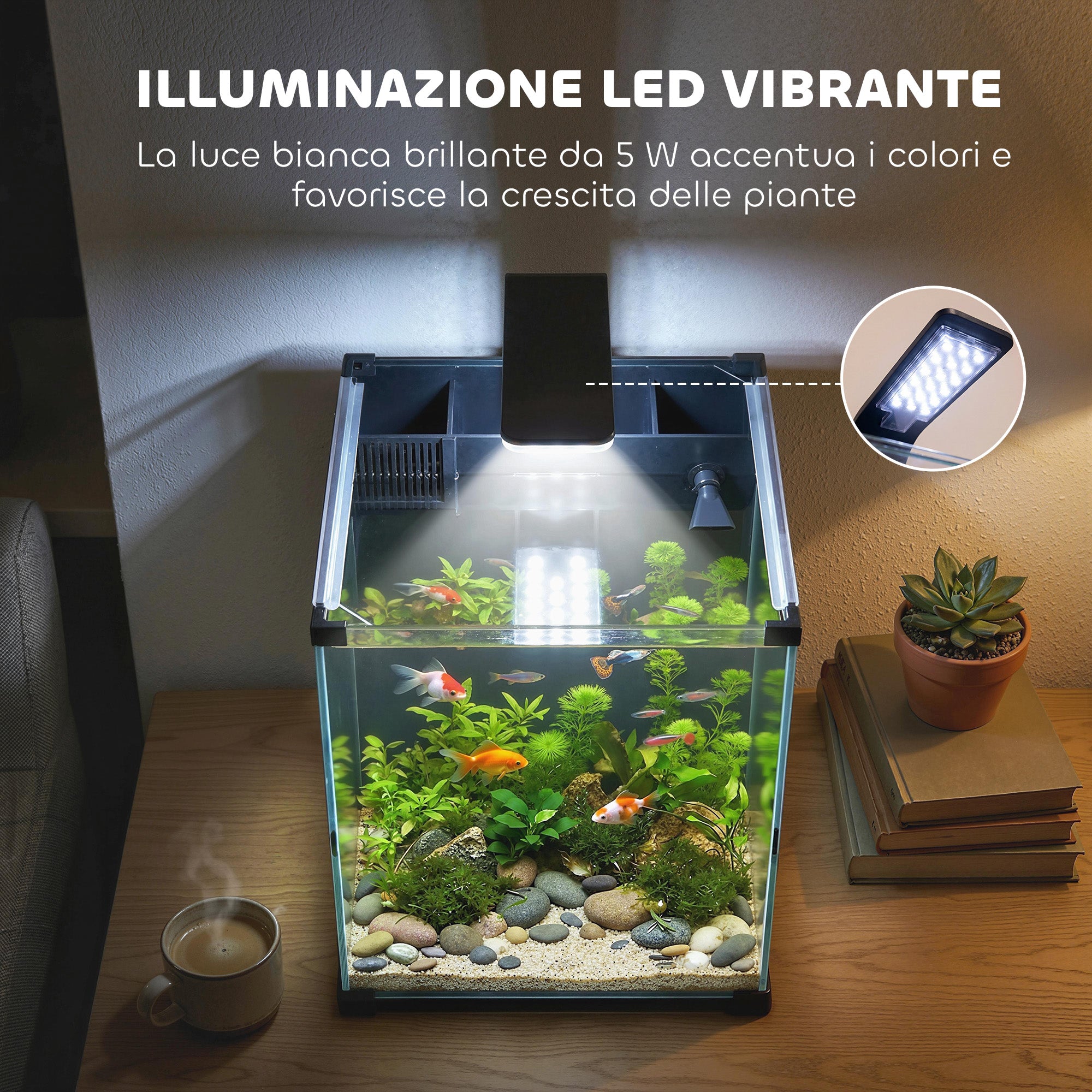 Nano Acquario in Vetro Temperato con Filtro Integrato, Pompa 5W e Luce LED